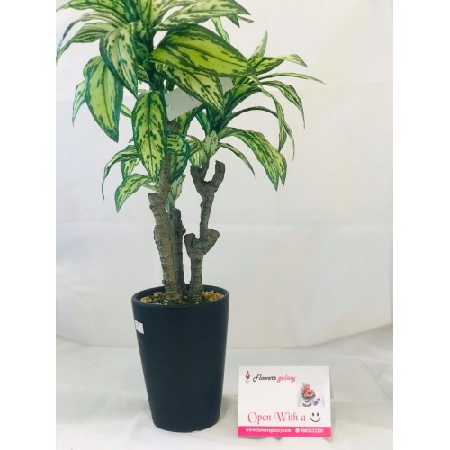 Green and White Artificial Plant (2-3 Delivery Days)           